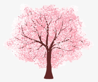 Sakura Cherry Blossom Tree Png, Transparent Png, Transparent PNG