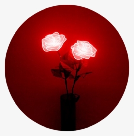 Neon Lighting Red Neon Sign - Aesthetic Tumblr Red Rose, HD Png Download, Transparent PNG