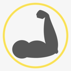 Upper Body Strength Training, HD Png Download, Transparent PNG