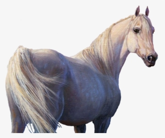 #horse #horses #unicorn #unicorns #whitehorse #white - Белая Лошадь Фото, HD Png Download, Transparent PNG