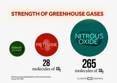 With A Title • Without - Greenhouse Gases Strength, HD Png Download, Transparent PNG