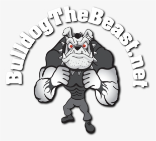 Fitness Clipart Strength And Conditioning - Bulldog Strength And Conditioning, HD Png Download, Transparent PNG