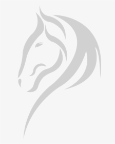 Horse Background Png Wite, Transparent Png, Transparent PNG