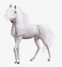 Unicorn White Horse , Png Download - White Horse Transparent Background, Png Download, Transparent PNG