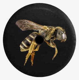 Jo Social Media Inc - Honey Bee Black Background, HD Png Download, Transparent PNG