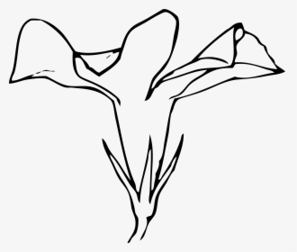 Flower Side View Drawing, HD Png Download, Transparent PNG
