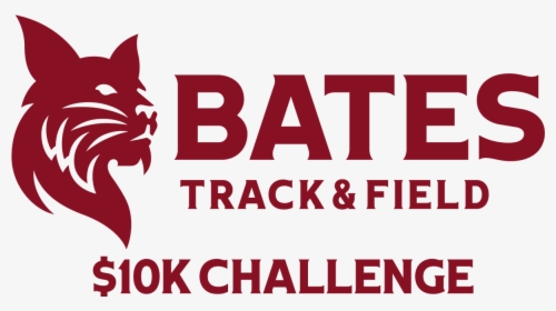 Track And Field Challenge, HD Png Download, Transparent PNG