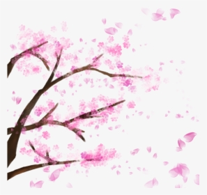 Blooming Cherry Tree, Cherry Blossom，sakura, Cherry, - Cherry Blossom Falling Petals Transparent Backgrounds, HD Png Download, Transparent PNG