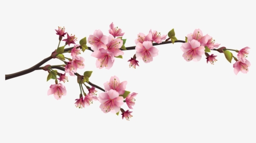 Cherry Blossom Branch Png , Png Download - Chinese Flowers Png, Transparent Png, Transparent PNG