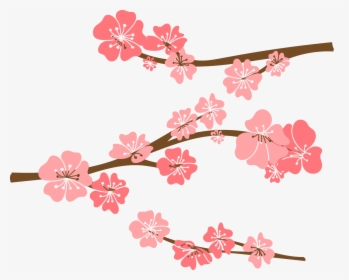 Cherry Blossom Drawing - Cute Cherry Blossom Background, HD Png Download, Transparent PNG