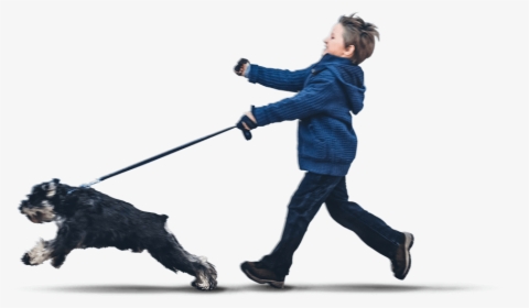 Transparent People Walking Dog Png - Companion Dog, Png Download, Transparent PNG