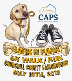 It S Time For Our 5k Strut Your Mutt Walk/run - Dog, HD Png Download, Transparent PNG