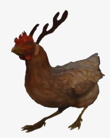 Transparent Silkie Chicken Clipart - Cs Go Chicken, HD Png Download, Transparent PNG