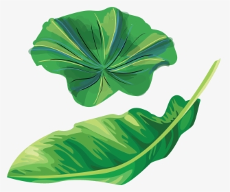 Banana Leaf Illustration Clipart , Png Download - Banana Leaves Illustration Png, Transparent Png, Transparent PNG