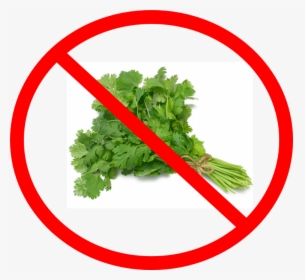 Say No To Cilantro - Coriander Leaves, HD Png Download, Transparent PNG