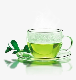 Green Tea Longjing Tea White Tea Flowering Tea - Glass Green Tea Cup, HD Png Download, Transparent PNG