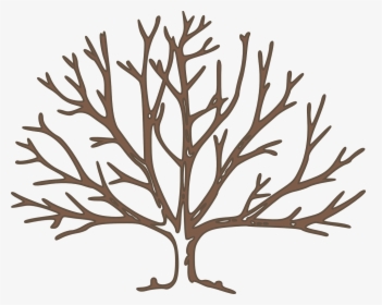 Bare Tree Clipart, HD Png Download, Transparent PNG