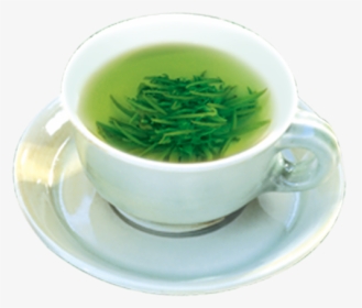 Green Tea Teacup Gratis - Cup, HD Png Download, Transparent PNG