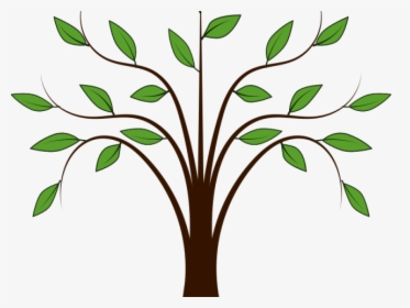 Heaven Clipart Mustard Tree - Tree With Leaf Clipart, HD Png Download, Transparent PNG