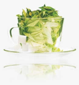 Stevia Green Tea , Png Download - Acidity In Tea Investigatory Project, Transparent Png, Transparent PNG