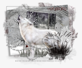 Wolfdog, HD Png Download, Transparent PNG