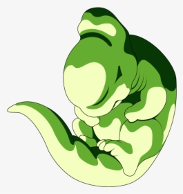 No Caption Provided - Dragon Ball Cell Larva State, HD Png Download, Transparent PNG