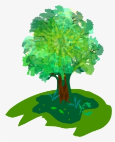 Transparent Tree Icon Png - Nature Club, Png Download, Transparent PNG