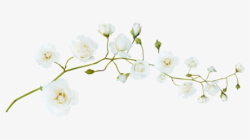 #flores #floresedit #floreskpop #recursos #overlays - Beyaz Çiçek Png, Transparent Png, Transparent PNG