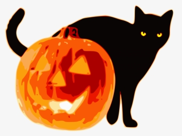 Halloween Black Cat And Pumpkin - Halloween Cat And Pumpkin, HD Png Download, Transparent PNG