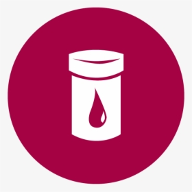 Circle, HD Png Download, Transparent PNG
