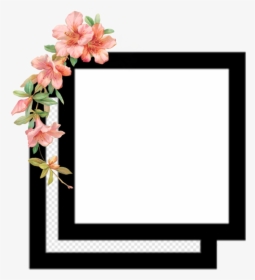Editing Square Overlays, HD Png Download, Transparent PNG