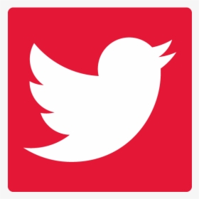 Logo Etm Facebook Instagram - Twitter Logo Vector Red, HD Png Download, Transparent PNG