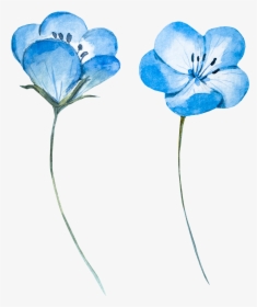 Flower Blue Watercolor Png, Transparent Png, Transparent PNG