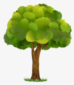Tree Transparent Clip Art Image - Clipart Tree Transparent Background, HD Png Download, Transparent PNG