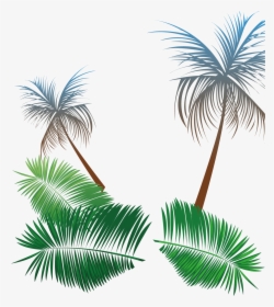 Transparent Palm Tree Leaf Png - Transparent Beach Party Png, Png Download, Transparent PNG
