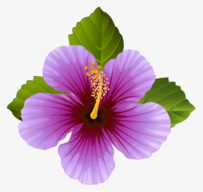 Hibiscus Clipart Violet Flower - Transparent Purple Flower Clipart, HD Png Download, Transparent PNG