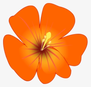 Hibiscus,plant,flower - Clip Art, HD Png Download, Transparent PNG