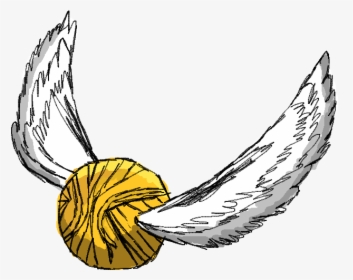Harry Potter Golden Snitch Clip Art Free Image - Harry Potter Quidditch Drawing, HD Png Download, Transparent PNG