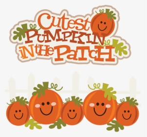 Download Cute Pumpkin Transparent Png - Cutest Pumpkin In The Patch Clipart, Png Download, Transparent PNG