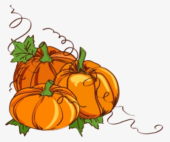 Thanksgiving Pumpkin Clipart At Getdrawings - Pumpkin With Vines Clipart, HD Png Download, Transparent PNG