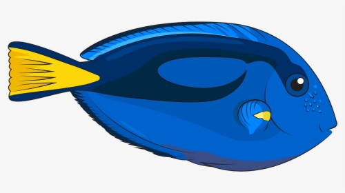 Illustration, HD Png Download, Transparent PNG