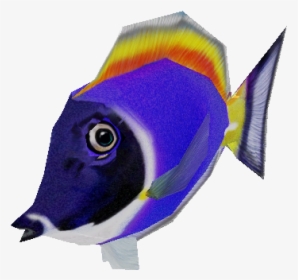 Zoo Tycoon Wiki - Pomacentridae, HD Png Download, Transparent PNG