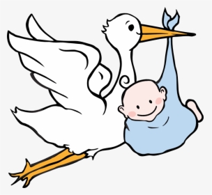 Baby Boy - Clipart Stork Baby, HD Png Download, Transparent PNG