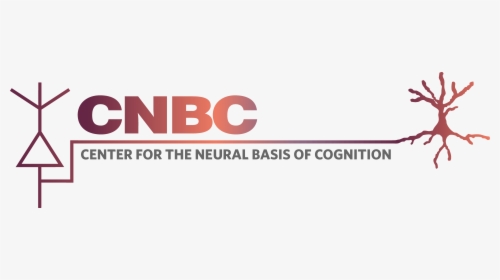 Canyon Logo Png Gif Logo Nbcuniversal Png Msnbc Transparent - Center For The Neural Basis Of Cognition, Png Download, Transparent PNG