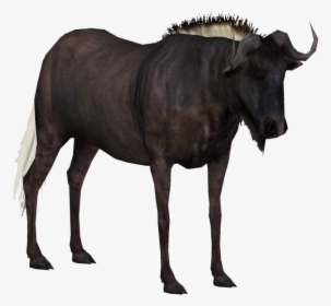 Water Buffalo Png Transparent Hd Photo - Wildebeest Clear Background, Png Download, Transparent PNG