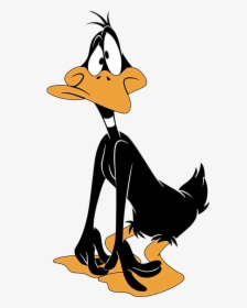 Daffy Duck Cartoons - Daffy Duck, HD Png Download, Transparent PNG