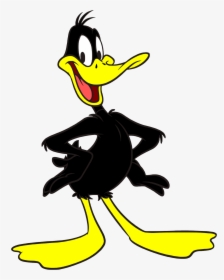 Daffy Duck Png - Daffy Duck, Transparent Png, Transparent PNG