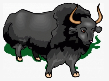 Muskox Clipart Buffalo - Bull, HD Png Download, Transparent PNG