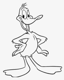 Looney Tunes Characters Drawings, HD Png Download, Transparent PNG