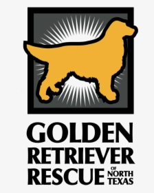 Golden Retriever Png, Transparent Png, Transparent PNG